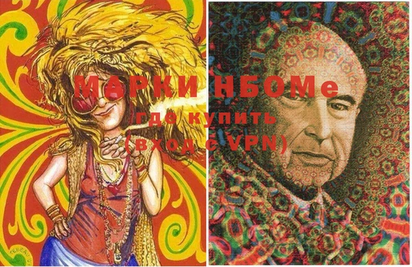 индика Алексеевка
