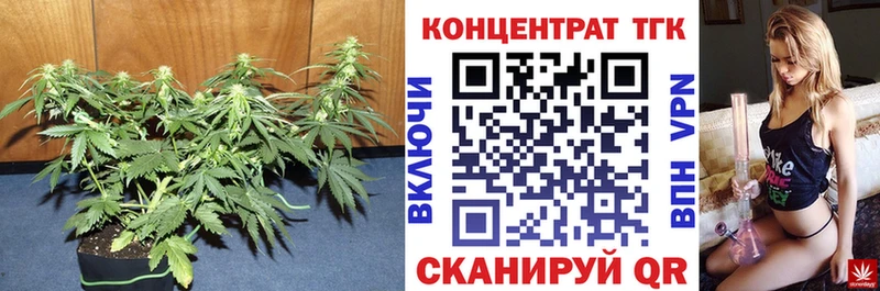 ТГК концентрат  мега ТОР  Инсар 