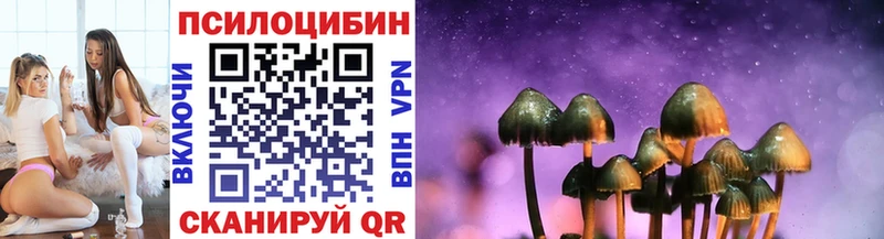 Псилоцибиновые грибы Psilocybine cubensis маркетплейс клад Инсар